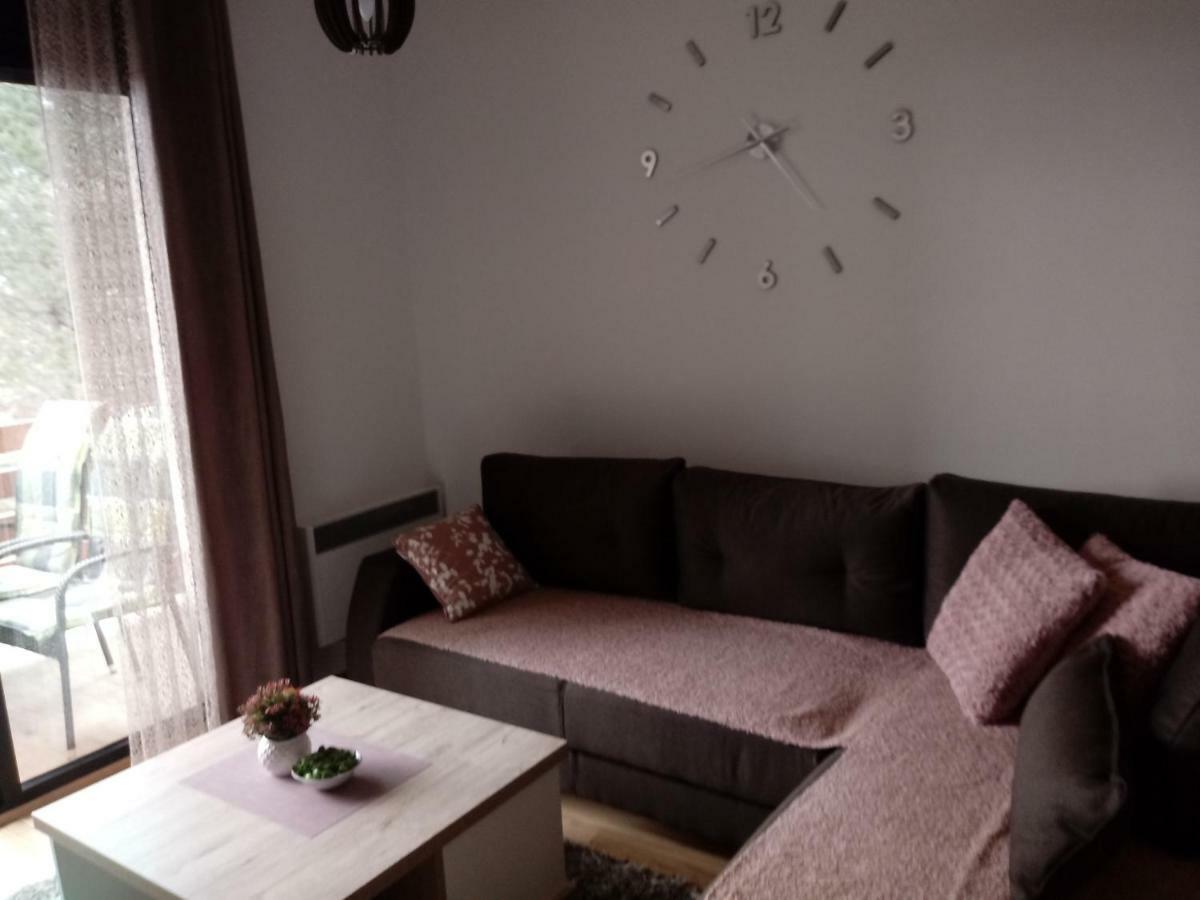 Apartman Nana Svetogorska 19 ,Stan 17 Zlatibor Eksteriør bilde