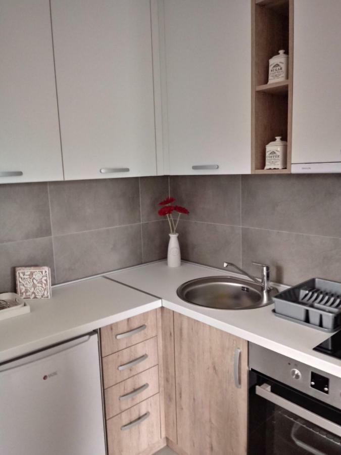 Apartman Nana Svetogorska 19 ,Stan 17 Zlatibor Eksteriør bilde