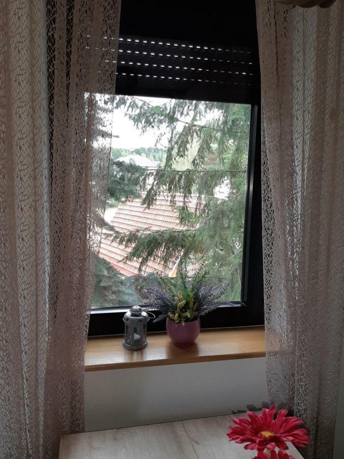 Apartman Nana Svetogorska 19 ,Stan 17 Zlatibor Eksteriør bilde